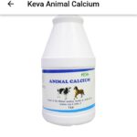 KEVA Animal Calcium 1 Ltr for Bone Strength & Milk Production