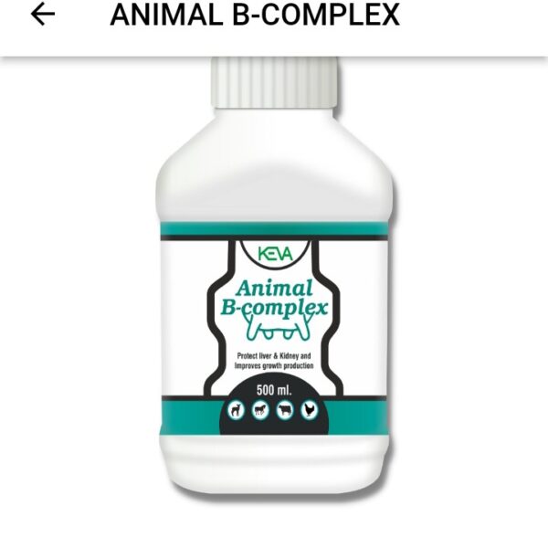 KEVA Animal B Complex 500ml – Multivitamin & Energy Supplement for Livestock