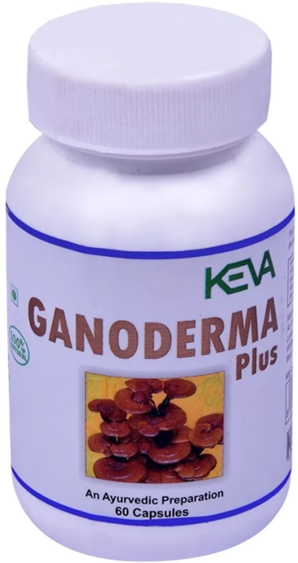 KEVA Ganoderma Tablets 60 Tablets Pack Price at Sajawat Store